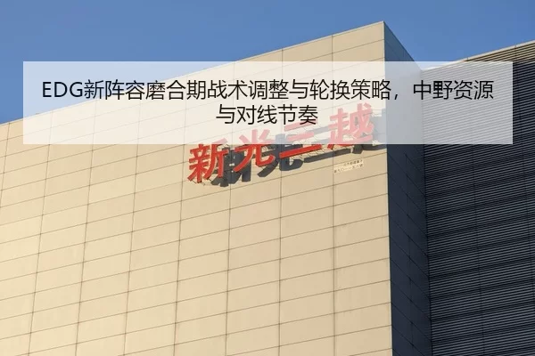 EDG新阵容磨合期战术调整与轮换策略，中野资源与对线节奏